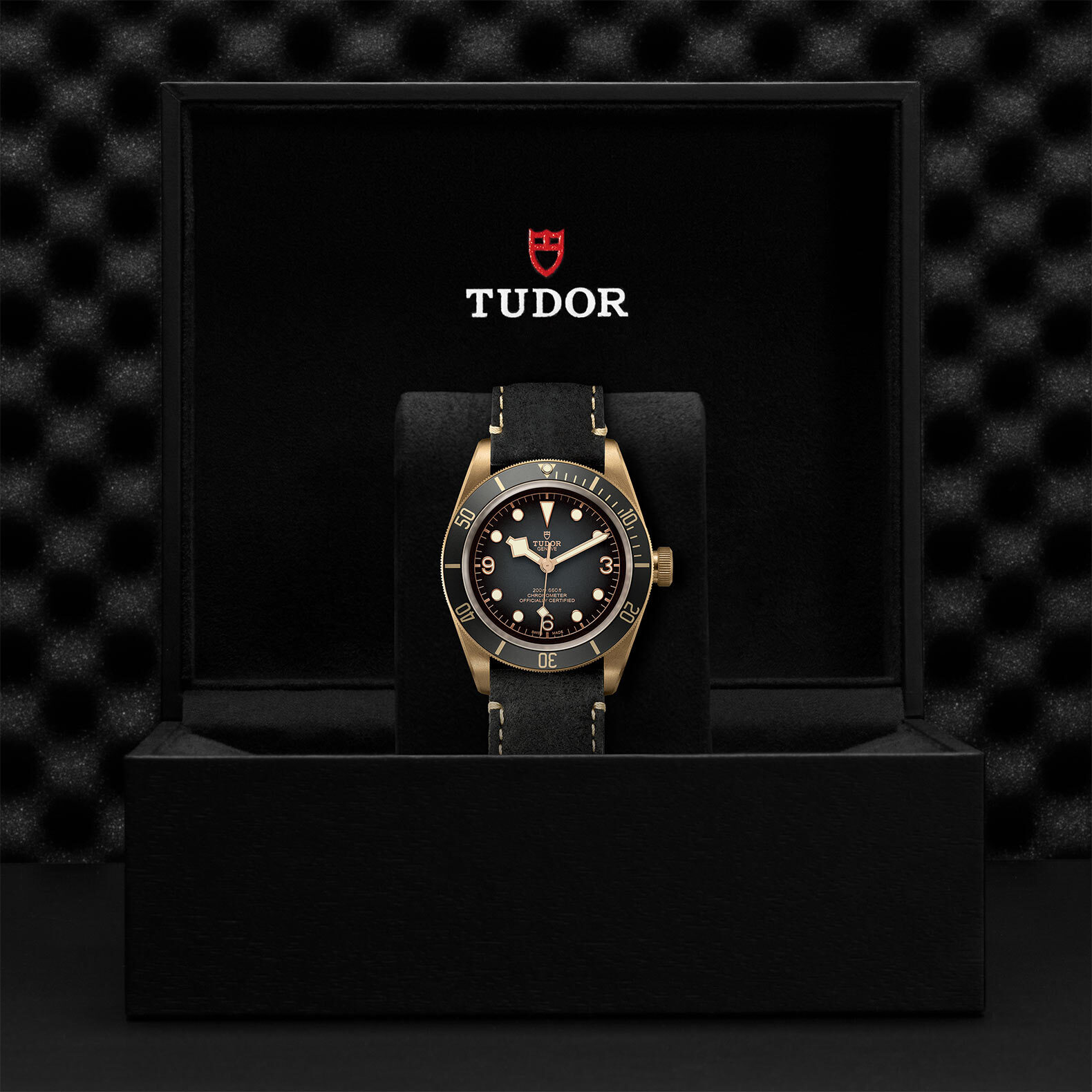 Tudor Black Bay Bronze 79250BA-0001 | Jamieson & Carry - Jamieson